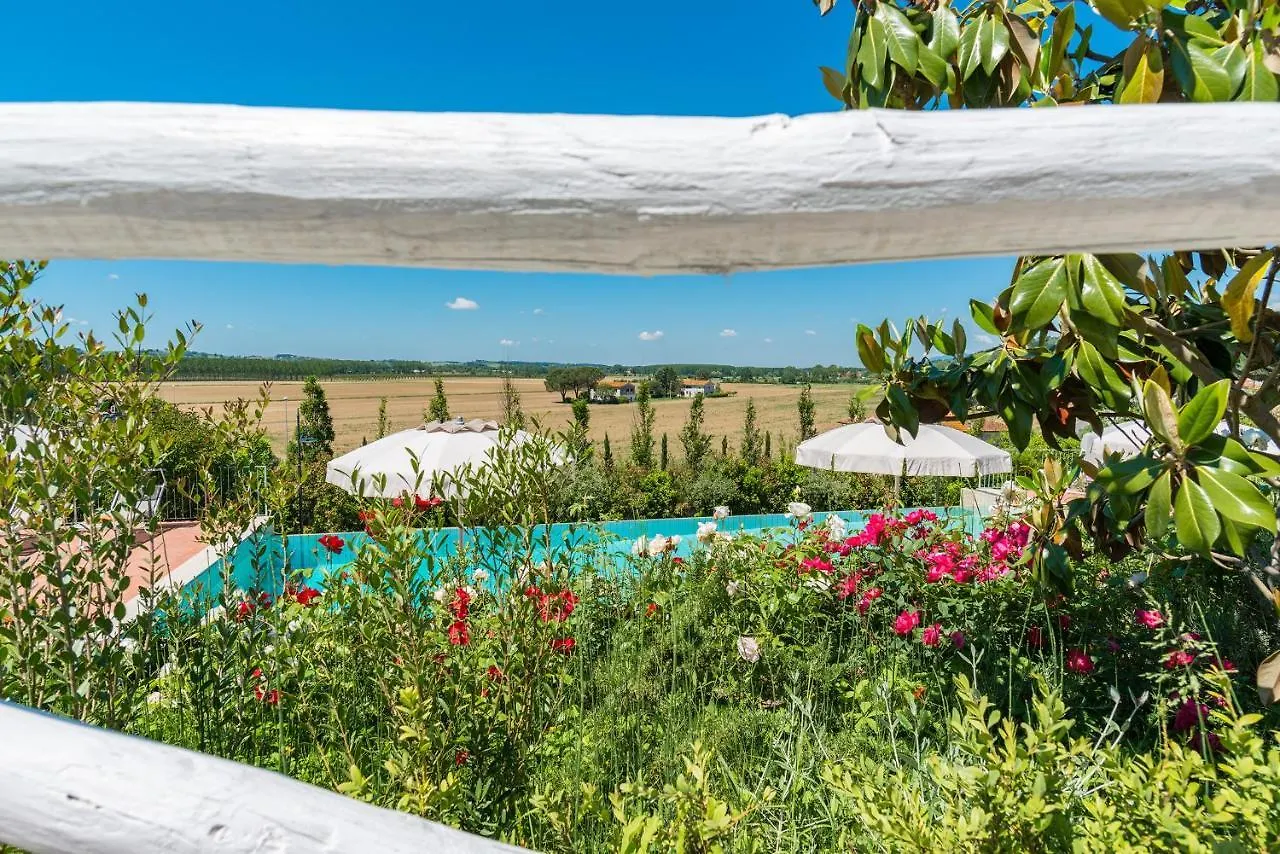 Luxury Villa In Tuscany With Pool Near Pisa And Florence - 14Pl Molino del Roglio